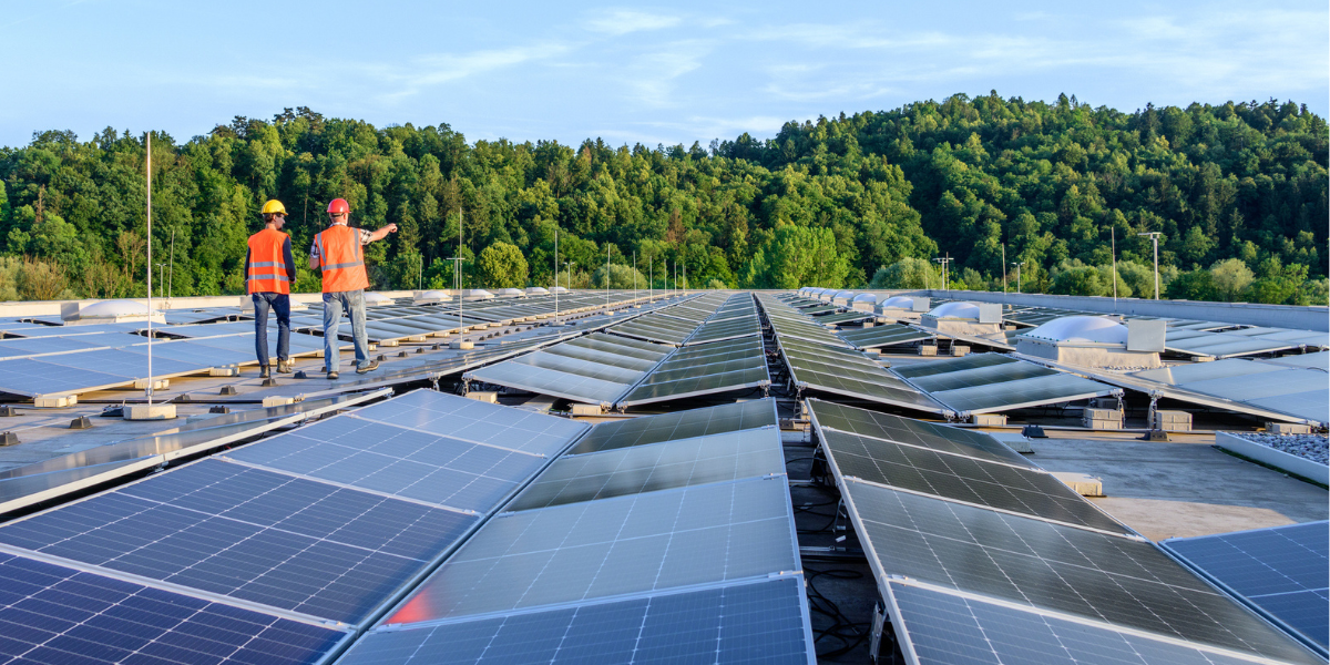 Solar Farm Bonds: Managing Long-Term Risk in a Rapidly Expanding Sector